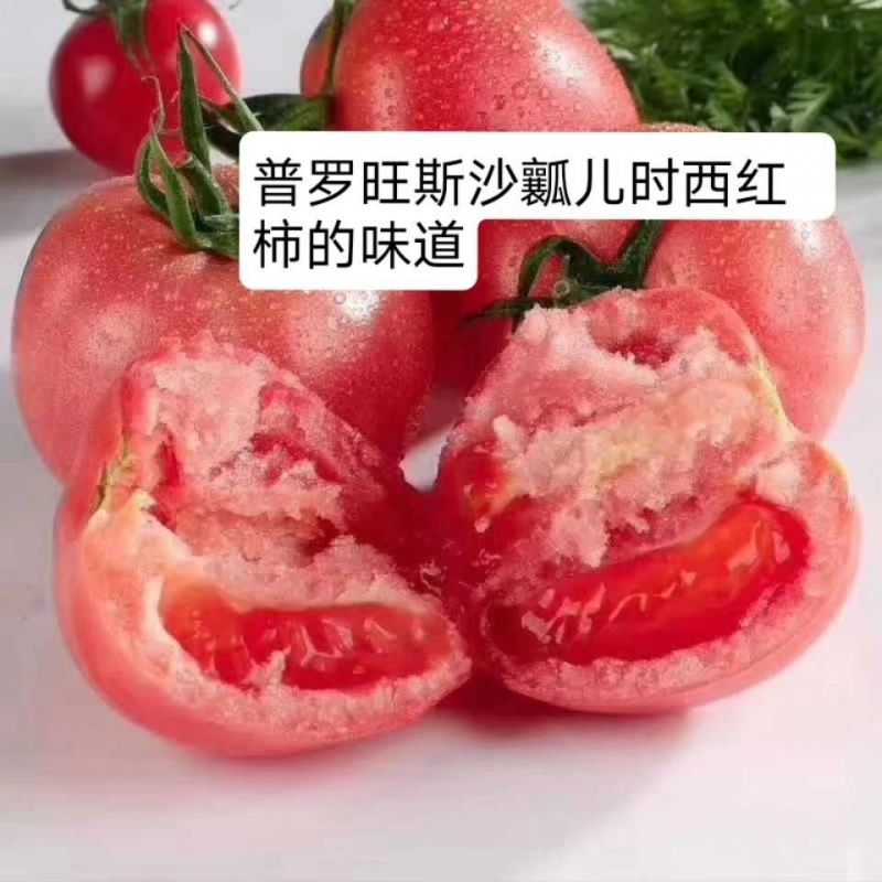 普罗旺斯番茄种子 种苗 水果番茄种子 西红柿种籽 口感好,淘宝优惠券,粉丝福利购,淘宝优惠卷