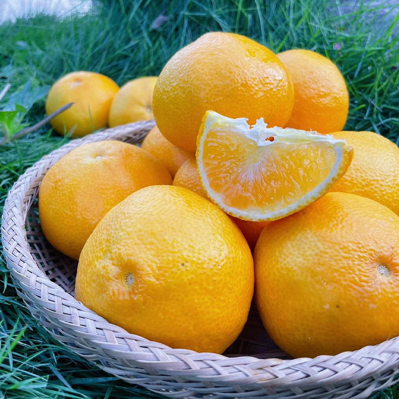 晓橘红美人爱媛果冻橙新鲜橙子四川大水果礼盒顺丰甜柑橘皇后28号,淘宝优惠券,粉丝福利购,淘宝优惠卷