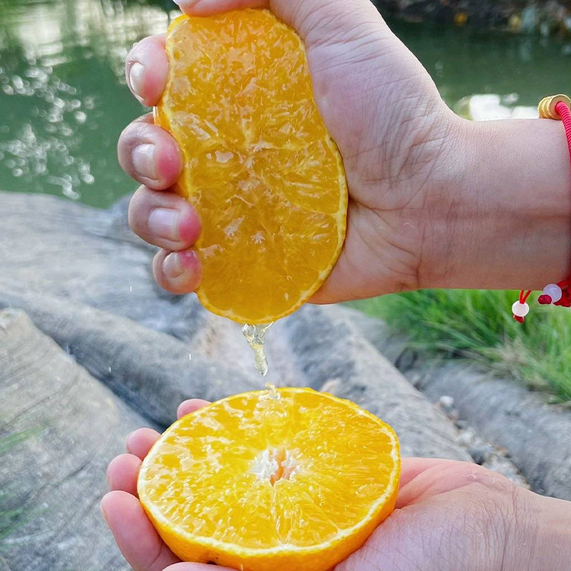 晓橘红美人爱媛果冻橙新鲜橙子四川大水果礼盒顺丰甜柑橘皇后28号,淘宝优惠券,粉丝福利购,淘宝优惠卷