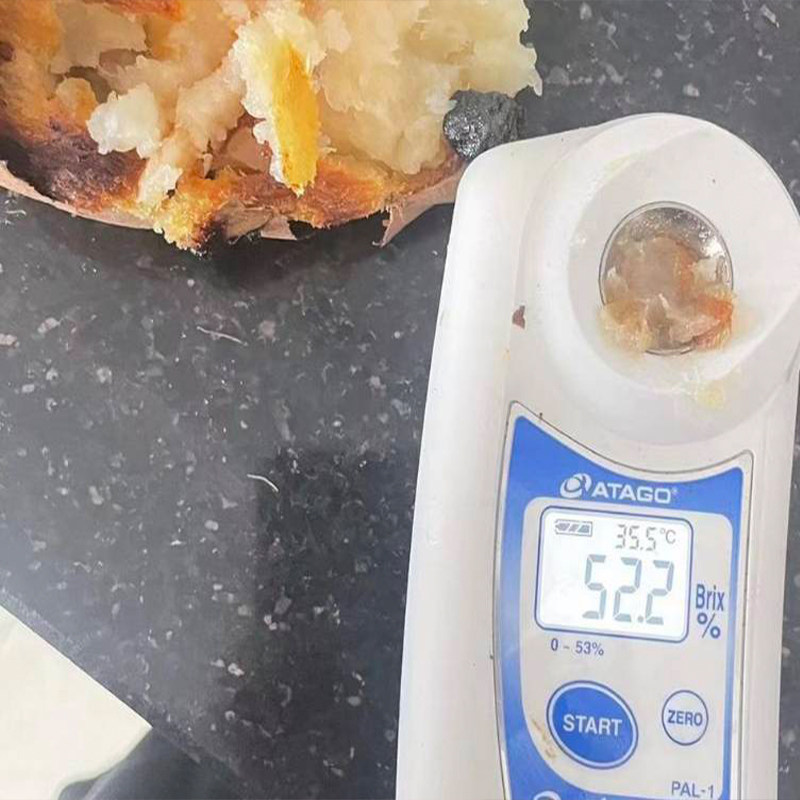 内蒙古乌兰纳芋哈密冰糖薯新鲜白心蜜薯红薯地瓜牛奶番薯达小鲜糯
