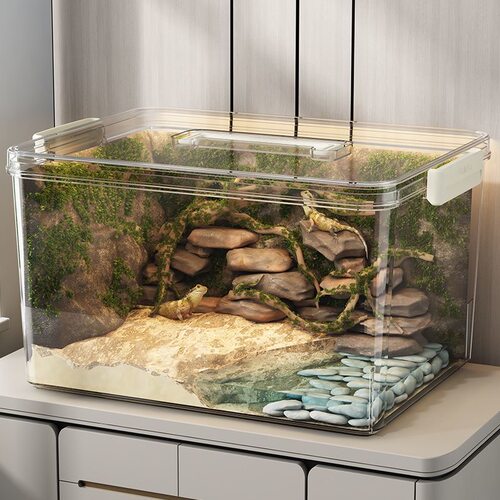 鱼缸生态箱高清高透PET金鱼缸饲养水族乌龟仓鼠生态造景收纳箱子 - 图0
