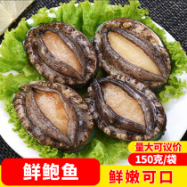 Fall In Love With Fresh Abalone Restaurant Restaurant Hotel Ballroom Commercial Semi-finished Ingredients Frozen Fresh to shell Fujian Bowl