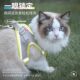 Spring and summer cat traction rope to prevent break-away when going out