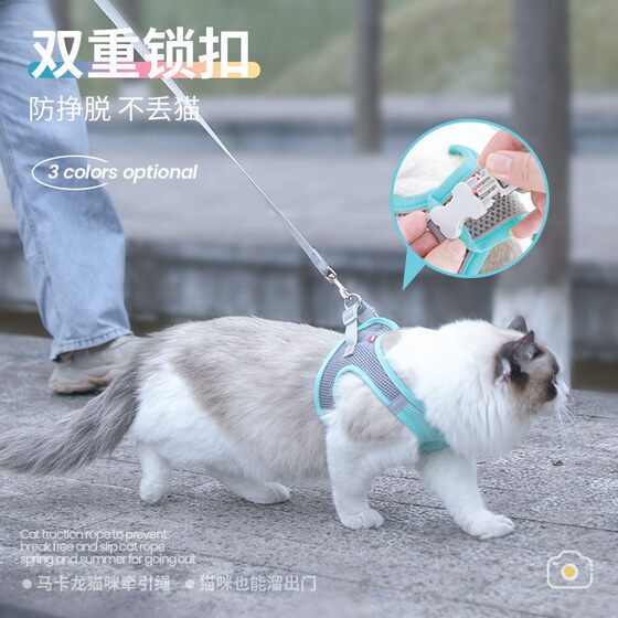 Spring and summer cat traction rope to prevent break-away when going out