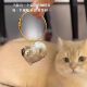 Cat hair storage bottle, transparent cat hair storage box, cat hair storage gashapon bag, key chain pendant, souvenir