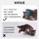 CFA competition level direct type professional cat funny wand long pole