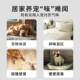 Pet deodorant indoor deodorizing cat litter rapid deodorizing cat Teddy urine odor removal cat and dog deodorizing spray