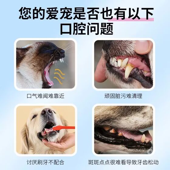 Pet Teeth Cleaning Gloves Cat and Dog Bad Breath Elimination Wipes