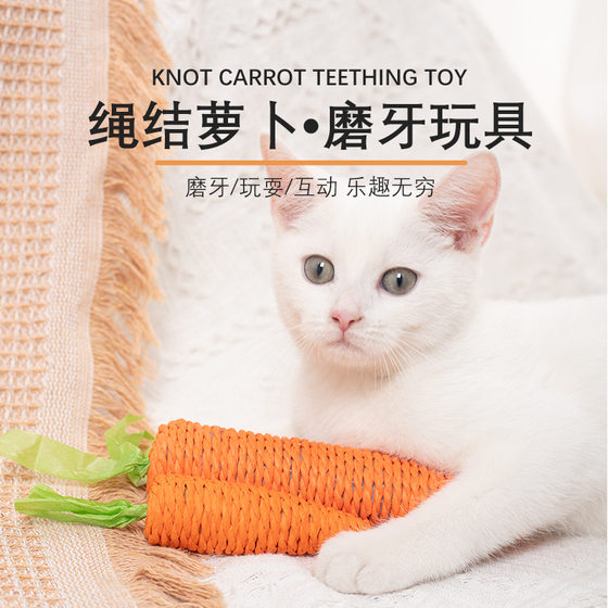 Cat carrot toy