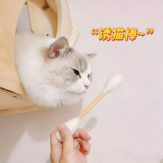 Cat toy extra large wool felt cotton swab for teeth grinding and cleaning