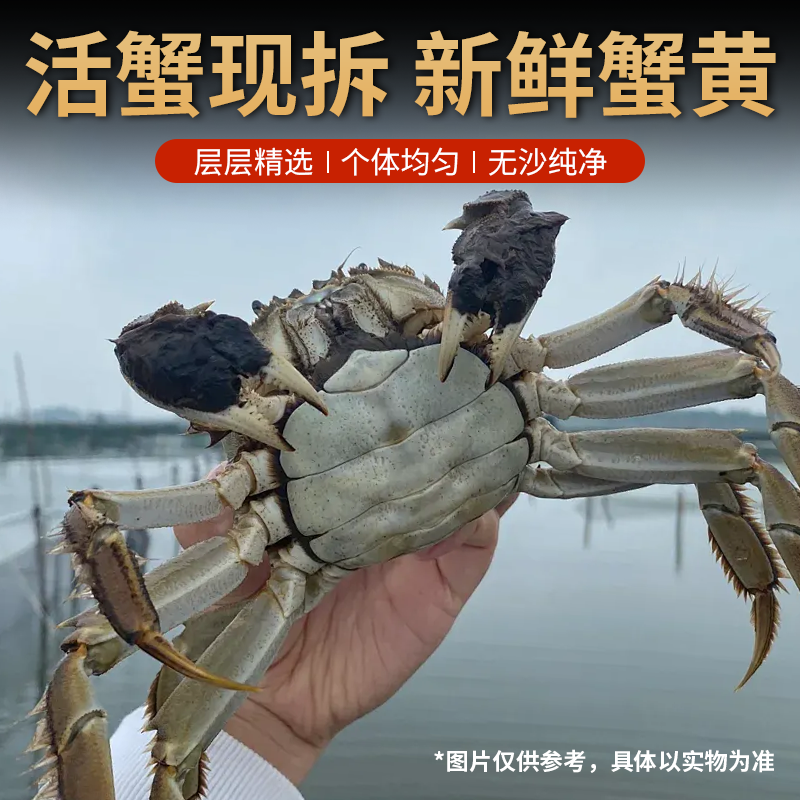 蟹黄酱拌面拌饭酱即食螃蟹肉酱商用正宗蟹黄粉蟹肉官方旗舰店