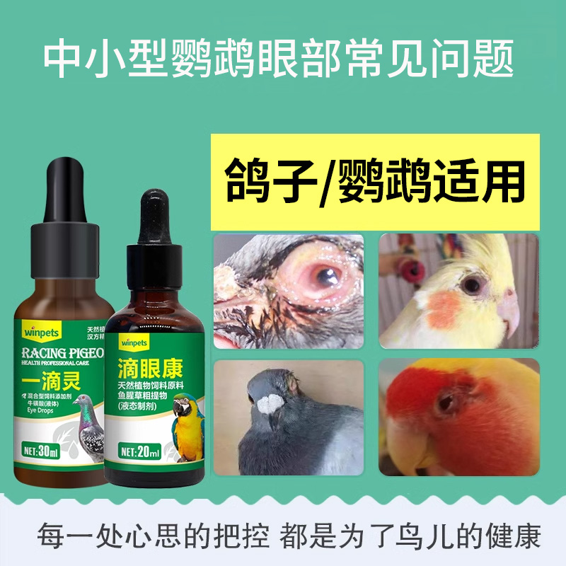 鹦鹉眼病单眼伤风一滴灵眼流泪肿胀闭眼玄风虎皮信赛鸽眼药水用品 - 图0