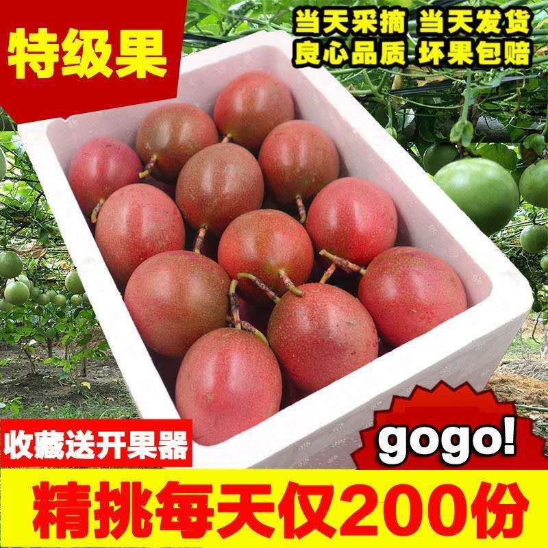 广西百香果皱皮老树花皮果果汁图片_2