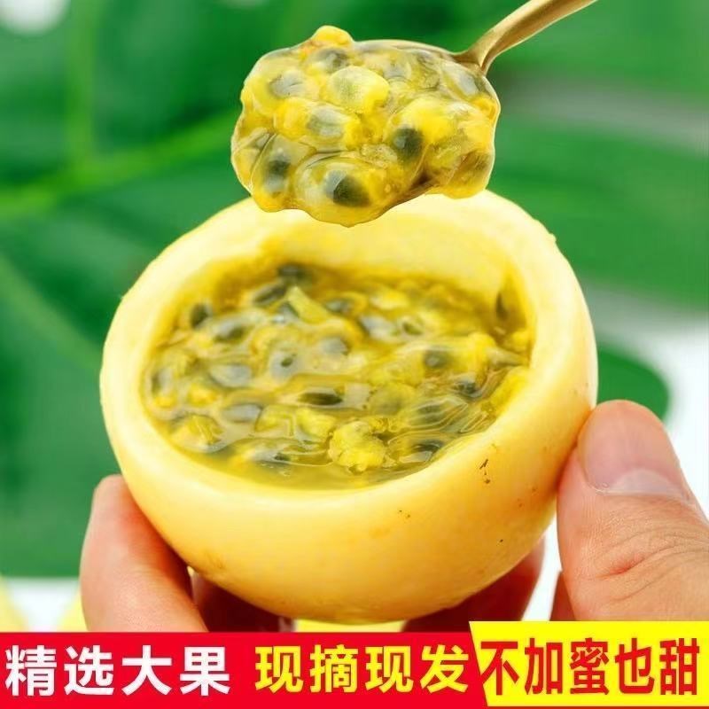 黄金新鲜现摘孕妇黄皮香甜百香果图片_4
