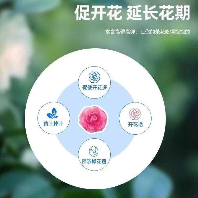 【茶花专用营养液】家庭园艺养花肥料水溶肥生长配方植物营养液,淘宝优惠券,粉丝福利购,淘宝优惠卷