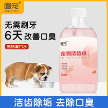 Pooch mouthwatering deodorant to stone kitty mouth clean mouth Deodorized Pet Edible Cleaner Teeth
