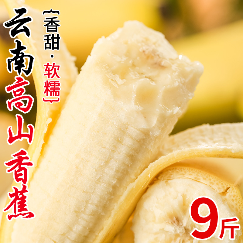云南高山香蕉新鲜水果当季自然熟10斤大芭蕉小米蕉甜香蕉整箱批发 - 图2