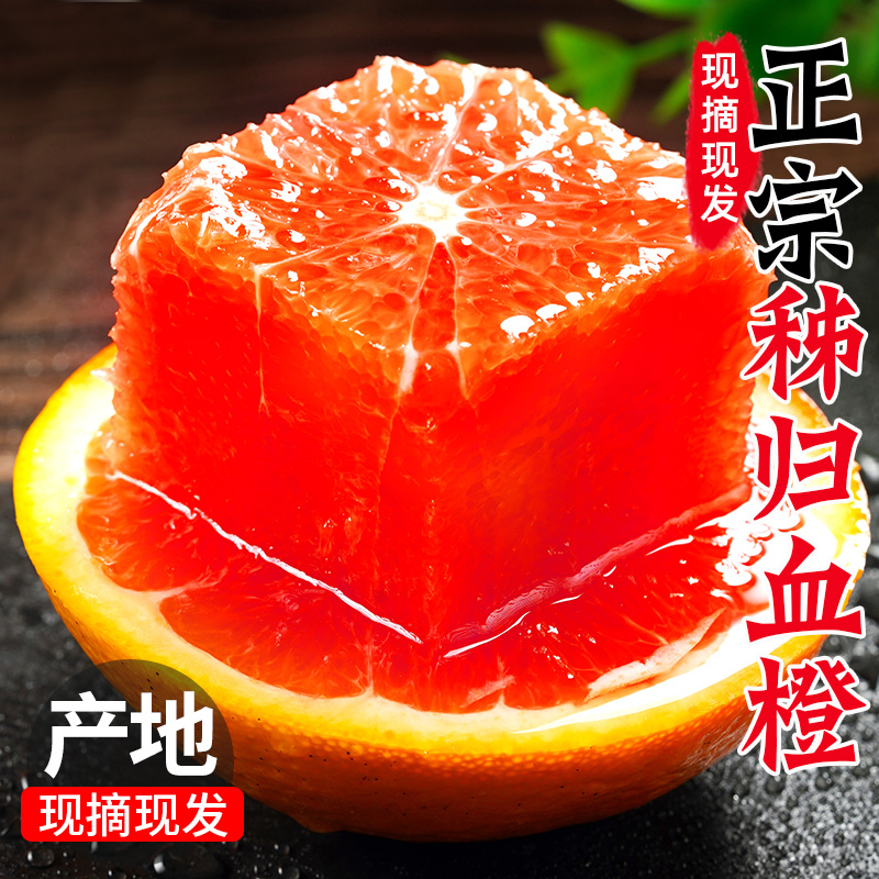血橙橙子时令水果新鲜红橙榨汁手剥香甜橙脐冰糖果冻10当季雪橙