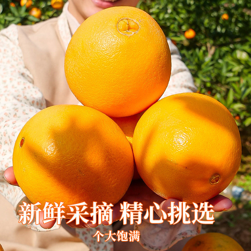 正宗伦晚春橙新鲜当季时令水果湖北秭归赣甜南榨汁整箱包邮橙子