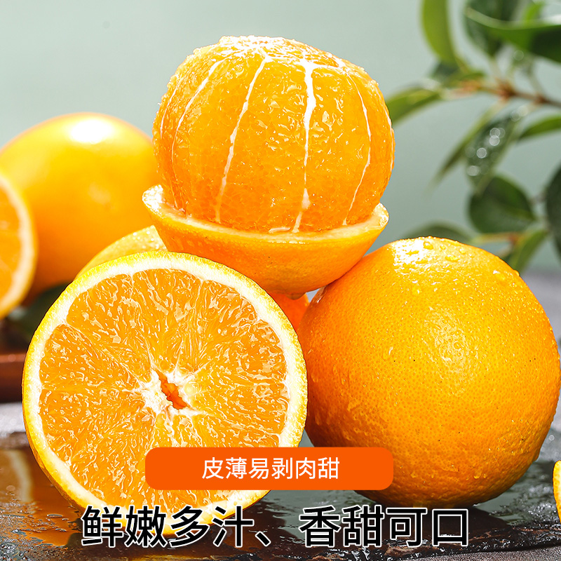 伦晚春橙湖北秭归新鲜时令水果甜橙赣爱南媛10冰糖果冻斤脐橙当季