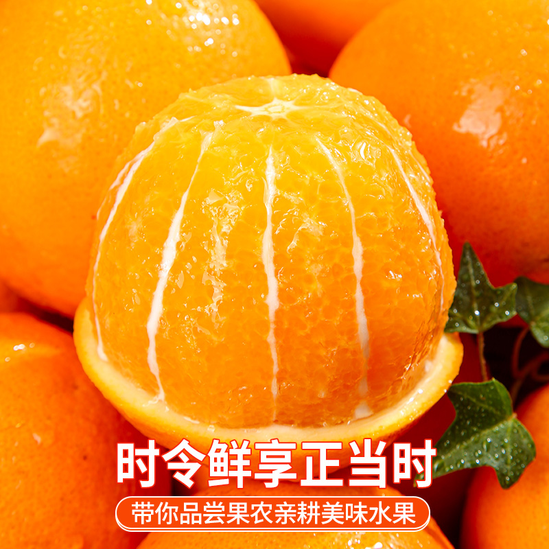 湖北秭归伦晚春橙当季新鲜时令水果甜橙赣爱南媛10冰糖果冻脐橙子