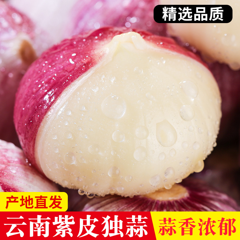 紫皮独头蒜云南紫皮大蒜蒜头湿蒜5斤2025年独蒜新鲜新蒜大蒜头10