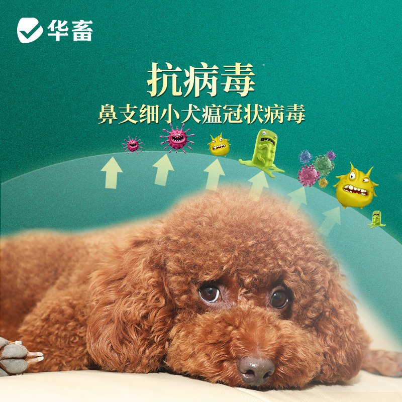 华畜宠物狗狗黄芪多糖粉猫咪后术后恢复防抗应激营养品犬用保健品,淘宝优惠券,粉丝福利购,淘宝优惠卷