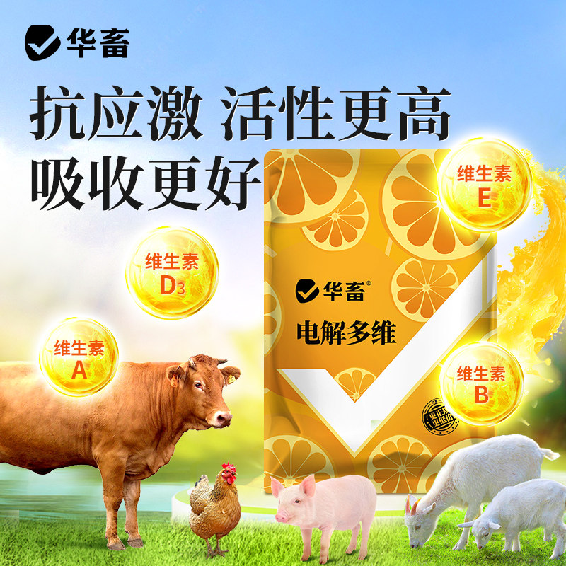 华畜电解多维兽用维生素鱼肝油鸟禽猪牛羊芦丁鸡乌龟水产微量元素,淘宝优惠券,粉丝福利购,淘宝优惠卷