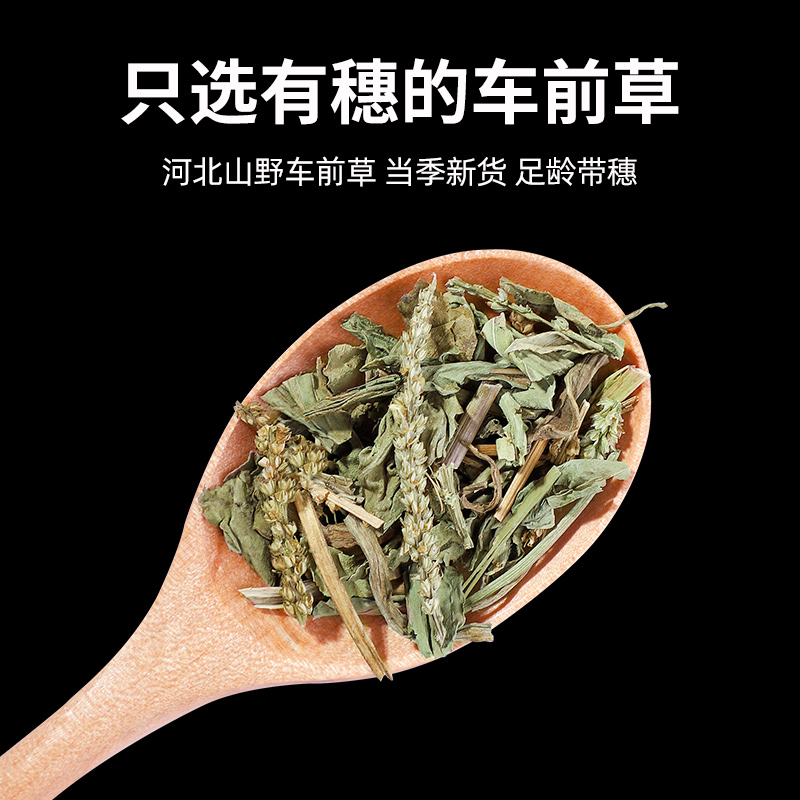 白茅根车前草茶包煮水中药材旗舰店新鲜干货钱茅根草袋泡茶的功效 - 图3