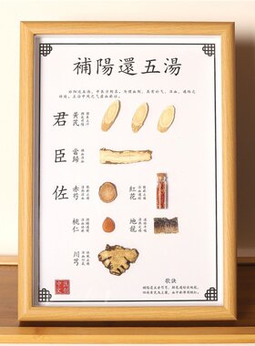 中药标本展示墙中草药标本展示中药相框中药药材标本画本草认T197