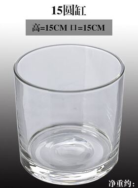 瓶水培创意器皿容器花盆铜钱萝水养白掌玻璃草绿吊兰方形透明植物