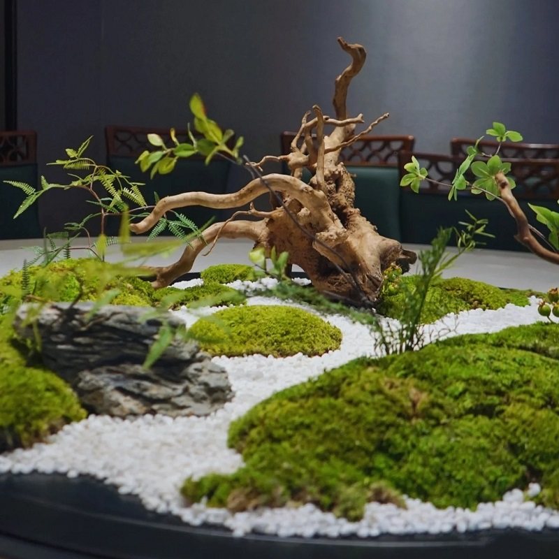 酒店餐桌转盘装饰景观大圆桌中间摆件禅意永生苔藓桌花摆设,淘宝优惠券,粉丝福利购,淘宝优惠卷