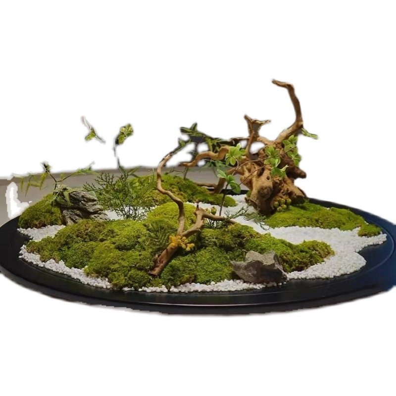 酒店餐桌转盘装饰景观大圆桌中间摆件禅意永生苔藓桌花摆设,淘宝优惠券,粉丝福利购,淘宝优惠卷