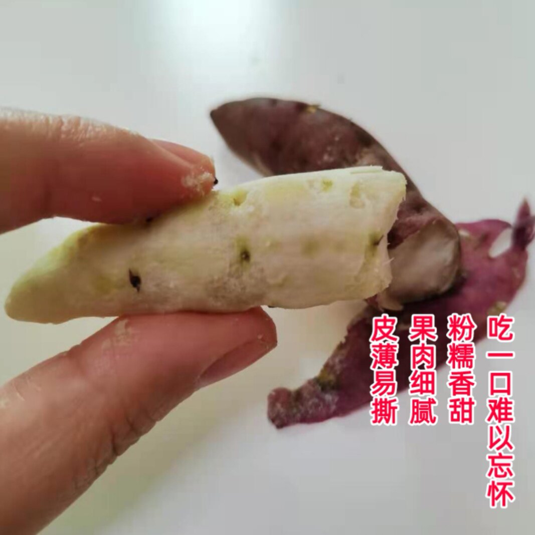 新鲜正宗小香薯海南迷你板栗红薯 鲜尚舞番薯