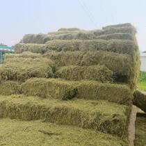 100 100 kilograms of domestically made clover grass hay clover grass 1 ton purple flower clover grass 100 catty of clover grass feed grass stock