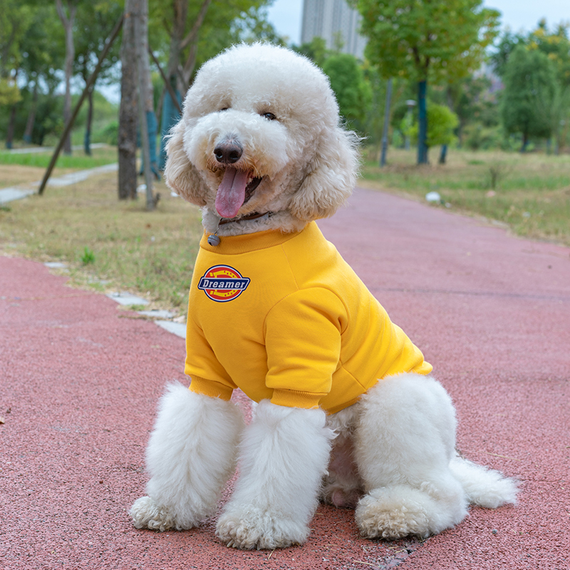 潮牌大型犬衣服秋冬网红金毛边牧杜宾拉布拉多巨贵犬宠物狗狗衣服 - 图0