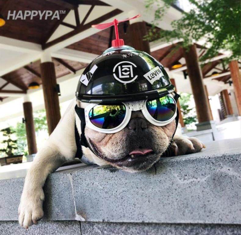 宠物猫墨镜推荐品牌 新人首单立减十元 21年6月 淘宝海外