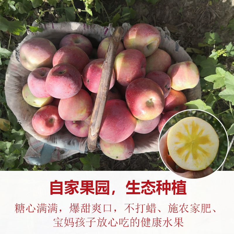  阿克苏原产地苹果