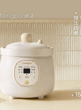 藤婆微压电炖盅家用迷你小型电炖锅炖汤锅煮粥电饭锅煲1到2一人食