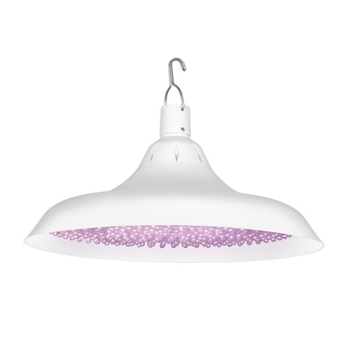 新国标充电式生鲜灯充电款灯泡夜市摆摊熟食灯卤菜卤肉专用灯暖光 - 图3