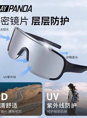 PLAYPANDA偏光防风防晒骑行墨镜