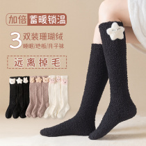 Coral Suede Calf Socks Child Autumn Winter Style Add Suede Thickened Home Long Cylinder Socks Suede Warm Sleep Floor Socks