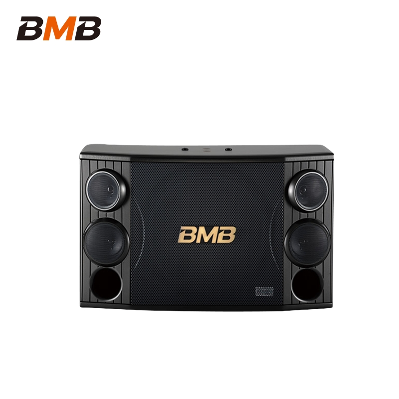 BMB Audio KTV ten-inch speaker home living room set
