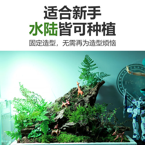 水草万年藓水草水草植物鱼缸鱼草水草活体懒人水草耐低温造景