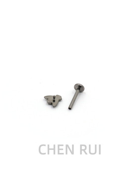 CHENRUI唇钉钛合金饰品钉子亚文化众独特内螺旋蜜蜂3D立体油压
