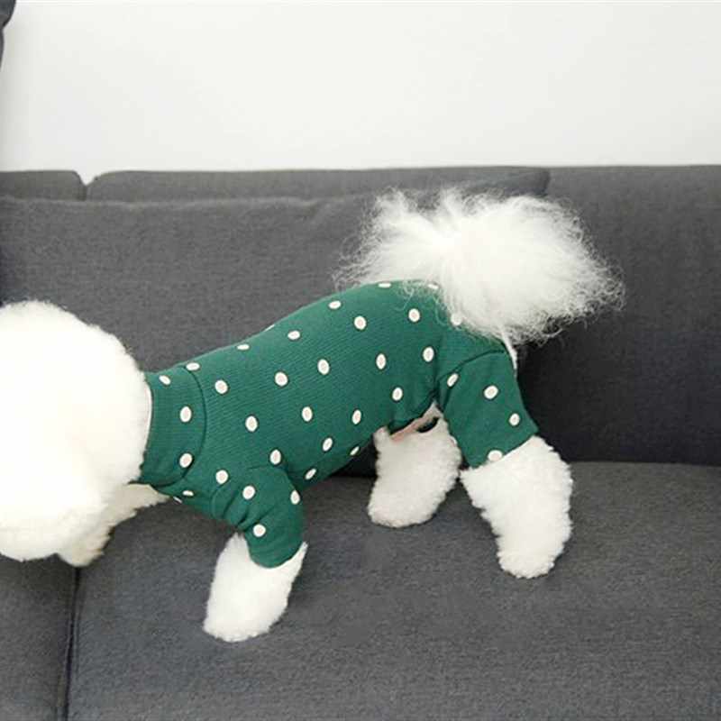 泰迪贵宾可爱夏服 新人首单立减十元 21年8月 淘宝海外