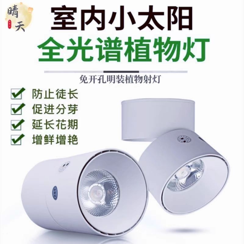 Plant fill light, punch-free growth spotlight, household indoor photosynthesis full spectrum LED downlight imitating the sun