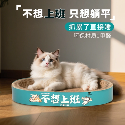 Круглая кошка захватывает игрушечные игрушки и без учета, кошки хватают кастрюлю, возьмите панели кошачьего кошачьего ког