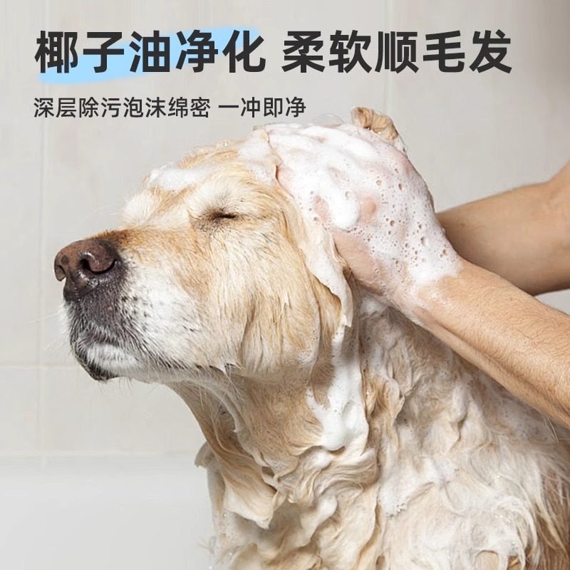 狗狗沐浴露杀菌除臭持久留香泰迪比熊小狗洗澡宠物专用香波浴液,淘宝优惠券,粉丝福利购,淘宝优惠卷