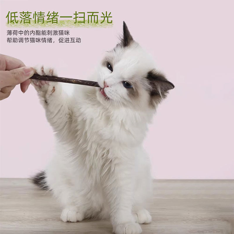 猫咪磨牙棒木天蓼成幼猫洁齿自嗨解闷猫草薄荷逗猫棒玩具猫咪零食,淘宝优惠券,粉丝福利购,淘宝优惠卷